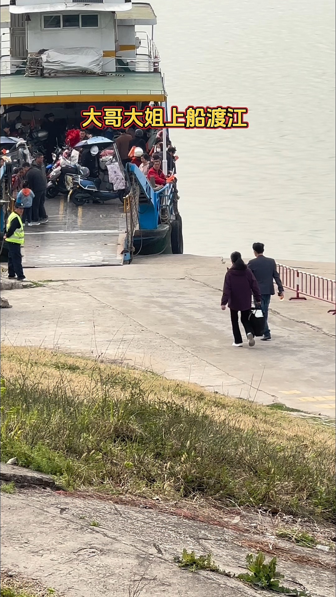 快步(快步麻蜥)